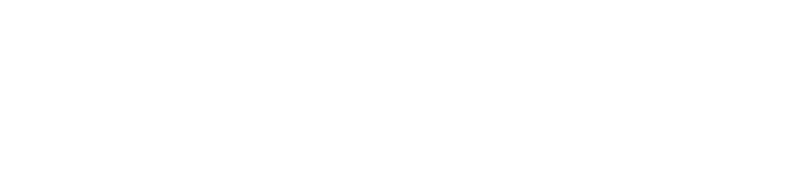 FFX Now Logo